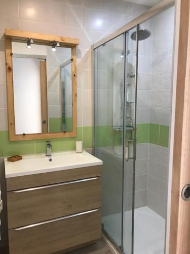 ein Bad mit einer Dusche, einem Waschbecken und einem Spiegel in der Unterkunft Un paradis de verdure en plein centre ville in Périgueux