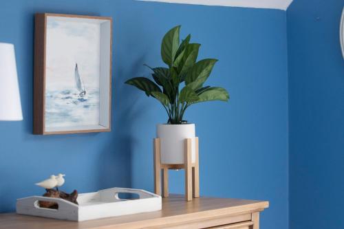 a plant in a white vase on a wooden table at The Emerald Owl House - Peaceful Emerald Isle Beach House w/ Luxurious Heated Pool! in Emerald Isle
