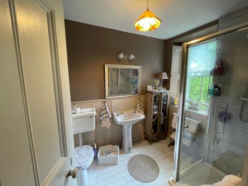 Koupelna v ubytování Glenmore House B&B Mullingar