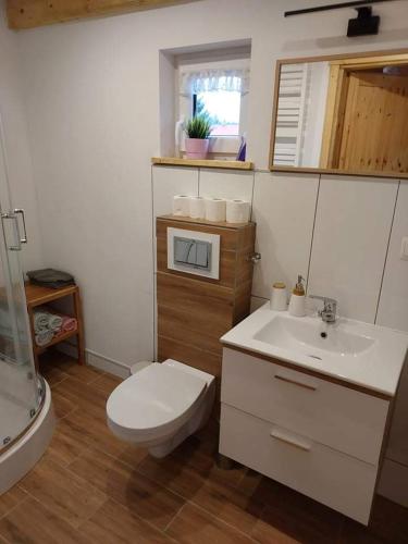 a bathroom with a toilet and a sink at Lawendowy domek in Mysłakowice