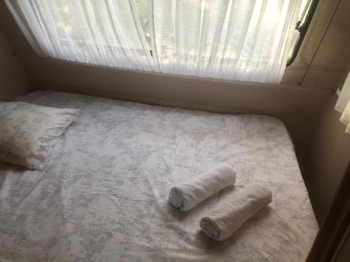 2 rotoli di carta igienica su un letto in una stanza di La Ferme de Rotani ad Aleria