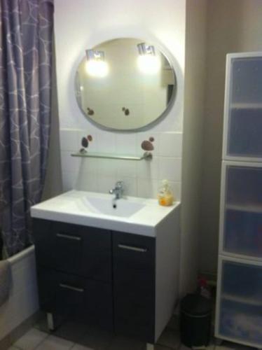 une salle de bain avec un lavabo et un miroir dans l'établissement Chez Lisette Honfleur 500m plage, à Honfleur