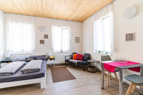 uma sala de estar com um sofá e uma mesa em TAGBLATT Apartment 2 em Tuttlingen