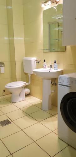 La salle de bains est pourvue de toilettes, d'un lavabo et d'un lave-linge. dans l'établissement Vila SALIX, à Costinesti