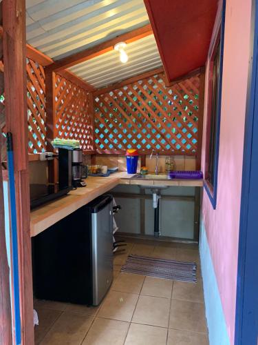a small kitchen with a counter and a sink at Brigitte's Ranch in Cahuita