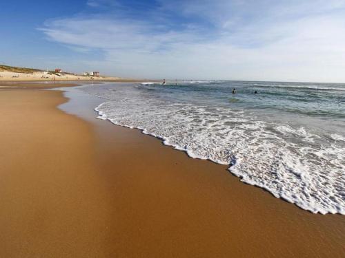 Photo de la galerie de l'établissement T2 calme à Biscarrosse Plage, parking inclus - FR-1-521-117, à Biscarrosse-Plage