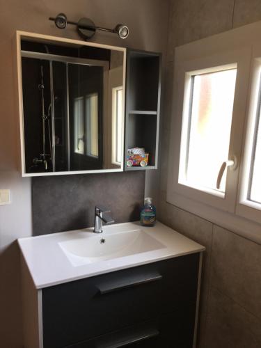 a bathroom with a sink and a mirror and a window at La jolie petite maison in Le Mans