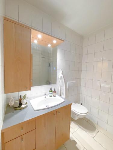 ein Badezimmer mit einem Waschbecken, einem WC und einem Spiegel in der Unterkunft Lovely 2-bed apartment with everything you need. in Reykjavík