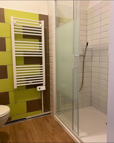 une salle de bain avec une douche en verre et des toilettes dans l'établissement Appartement de charme plein coeur de Moulins, à Moulins