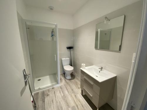ein Badezimmer mit Toilette, Waschbecken und Dusche in der Unterkunft Appartement Rénové avec Cuisine Américaine et WIFI, Proche des Thermes Saint Roch - FR-1-541-32 in La Roche-Posay
