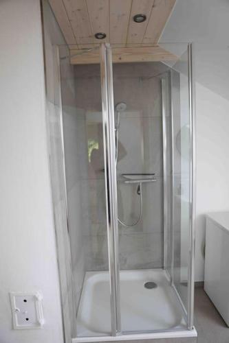 a shower with a glass door in a bathroom at Pegnitz Apartement in Pegnitz