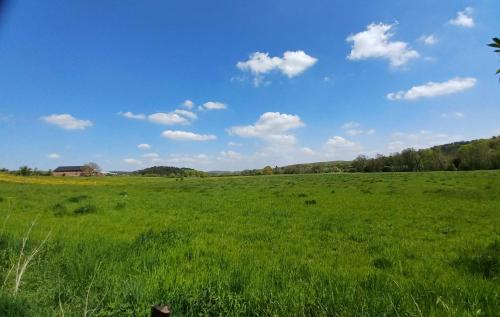 a field of green grass with a barn in the background at Maison d'Engon charme nature in Beauraing