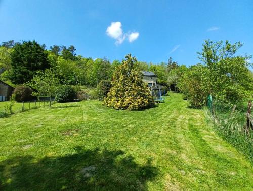 a yard with a tree in the grass at Maison d'Engon charme nature in Beauraing