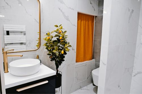 La salle de bains est pourvue d'un lavabo et d'une plante sur un comptoir. dans l'établissement Offre spéciale - Jolie pépite au cœur de Nantes, à Nantes
