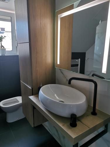 un baño con lavabo e inodoro en Apartment with mountain view and rivers close by, en Šmartno ob Dreti