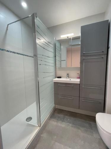 une salle de bain avec une douche, des toilettes et un lavabo dans l'établissement Appartement T2, 2 a 4 Personnes avec une Vue sur Mer 4TL25, à Narbonne-Plage