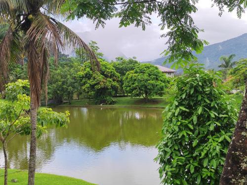 a view of a lake in a jungle with trees at Refúgio da família - serra & lago in Guapimirim