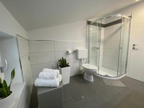 La salle de bains est pourvue de toilettes et d'une douche en verre. dans l'établissement Apartma Fojana, à Dobrovo