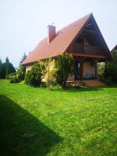 a house with a large yard in front of it at Ustroń Dom Aneta in Ustroń