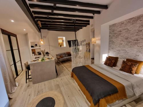 Lofts amantes de Toledo -LOFT SAGRARIO