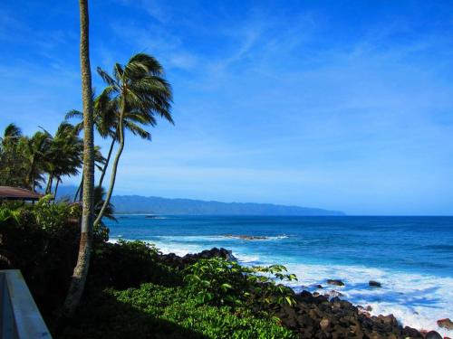 a view of a beach with palm trees and the ocean at Waimea Bay Shoreline House in Haleiwa