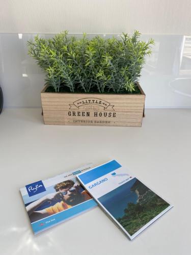 a book and a potted plant on a table at Marina del Gargano Houseboat in Manfredonia