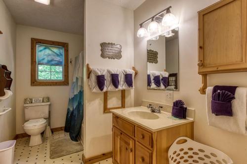 a bathroom with a sink and a toilet at Laurel Cottage in Sevierville