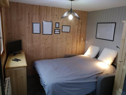 ein Schlafzimmer mit einem Bett und einem Schreibtisch mit einem Fernseher in der Unterkunft Appartement cosy à Châtel - 5 pers, WIFI - FR-1-198-207 in Châtel