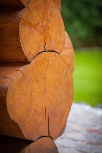 a close up of the top of a piece of wood at SASKI ZAKĄTEK, WAKACJE W BAJKOWYM DOMKU!!! MAZURY, SAUNA, JEZiORO, POMOST, in Sasek Mały