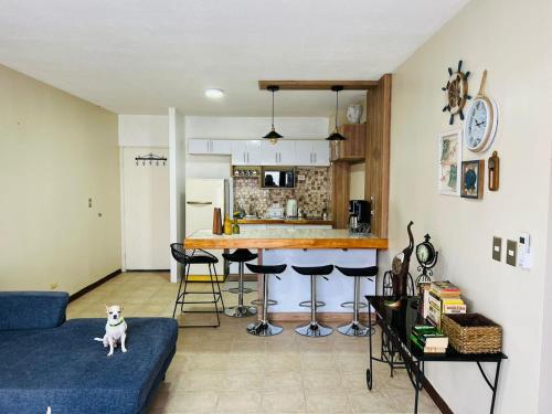 a dog sitting on a couch in a living room at Apartamento The Garden in Liberia