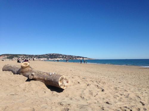 Photo de la galerie de l'établissement Appartement rénové 2 pièces, proche plage, parking inclus - FR-1-338-418, à Sète