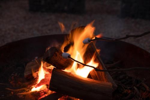 a pot on a fire with sticks in it at Palmers Lane Estate Hunter Valley in Pokolbin