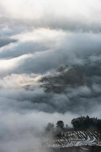 Gallery image of Beyond The Cloud in Yuanyang