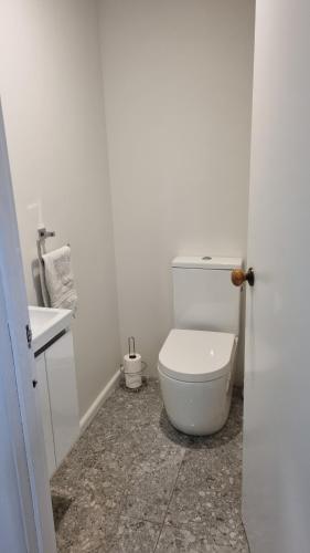 a white bathroom with a toilet and a sink at The Tussocks, Arthur's Pass in Arthur's Pass