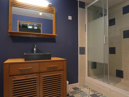 ein Bad mit einem Waschbecken und einer Dusche mit einem Spiegel in der Unterkunft Gîte Aunou-sur-Orne, 3 pièces, 6 personnes - FR-1-497-150 in Aunou-sur-Orne