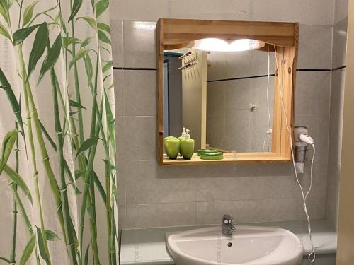 安格勒的住宿－Appartement Les Angles, 3 pièces, 6 personnes - FR-1-295-183，一间带水槽和镜子的浴室