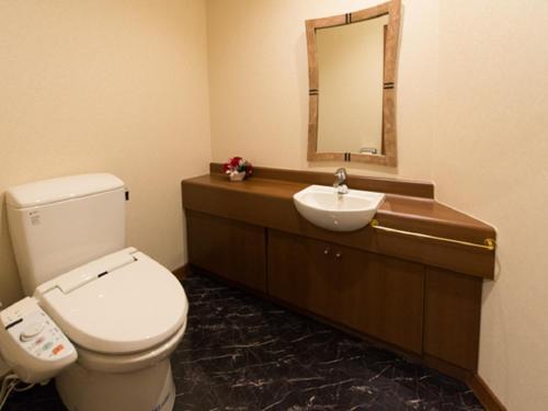 a bathroom with a toilet and a sink and a mirror at Spa Resort LiVEMAX in Mooka