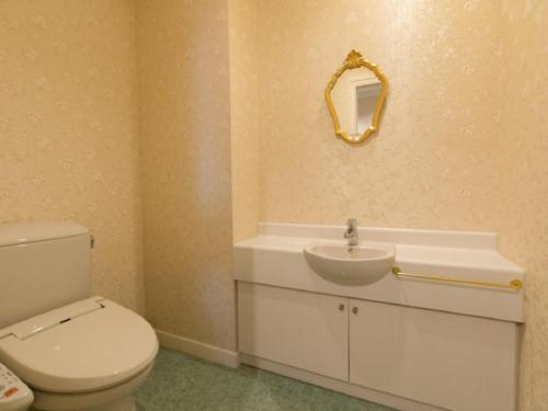 a bathroom with a toilet and a sink and a mirror at Spa Resort LiVEMAX in Mooka