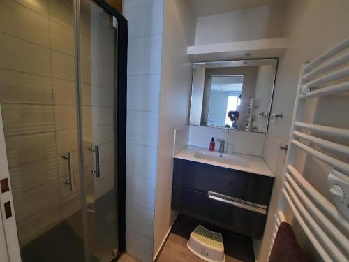 La salle de bains est pourvue d'une douche, d'un lavabo et d'un miroir. dans l'établissement Appartement Bayonne, 3 pièces, 4 personnes - FR-1-239-736, à Bayonne