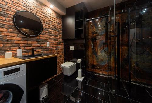 a bathroom with a shower and a sink and a toilet at Apartament Sun & Ski - Loft in Podgórzyn