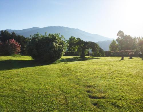 a field of grass with trees and mountains in the background at Paradiso sul lago in Calceranica al Lago