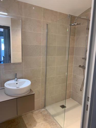 a bathroom with a sink and a glass shower at Bienvenue chez Weiwei in Sancé