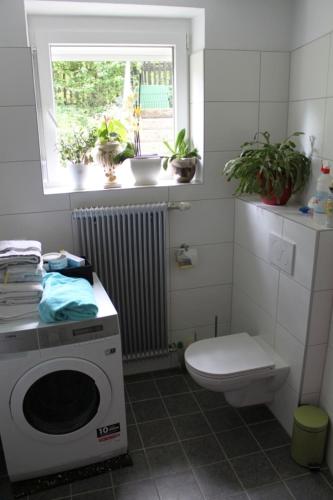 a bathroom with a toilet and a washing machine at Appartement Eveline in Velden am Wörthersee