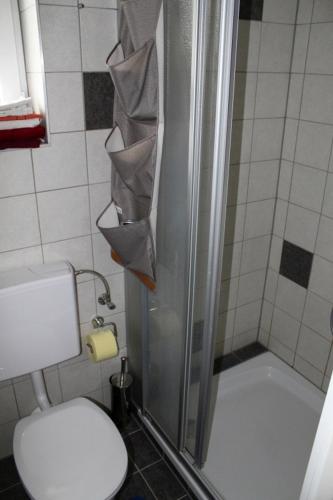 a bathroom with a shower with a toilet and a sink at Appartement Eveline in Velden am Wörthersee