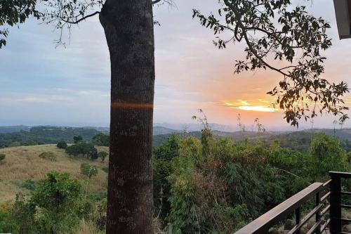 a tree with the sunset in the background at CAMP TREEHOUSE • COTTAGE • POOL • JACUZZI in Antipolo