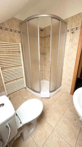 a bathroom with a shower and a toilet and a sink at Hotel Karolina in Karlovy Vary
