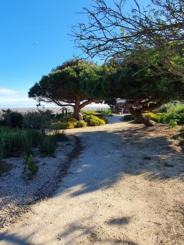 Uma praia em ou perto do apartamento