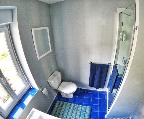 a bathroom with a toilet and a shower with blue tiles at SURDESPINE Historic 4 Châteaux Lastours 3 star air conditioned in Lastours