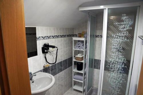 a bathroom with a shower and a sink at Haus Alpenland in Mariazell