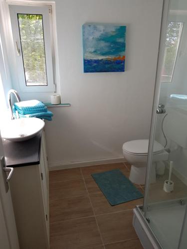 ein Bad mit einer Dusche, einem WC und einem Waschbecken in der Unterkunft Ferienhaus im Grünen Nähe Zentrum in Kassel